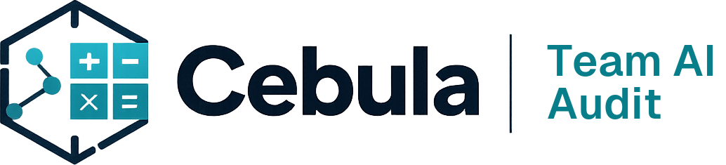 Cebula Team AI Audit